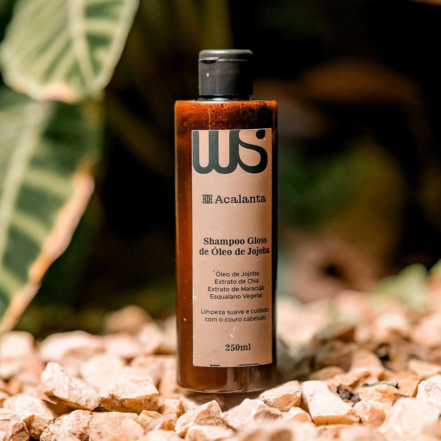 Shampoo Gloss de Óleo de Jojoba Acalanta 250ml
